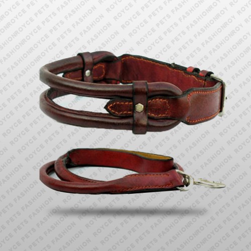 Dog Collar